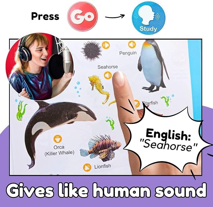 Soundbook image 8